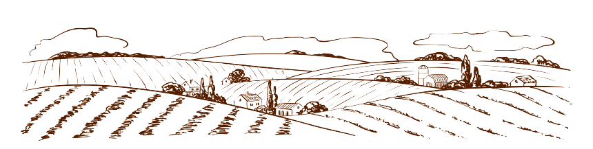 Skyline 2