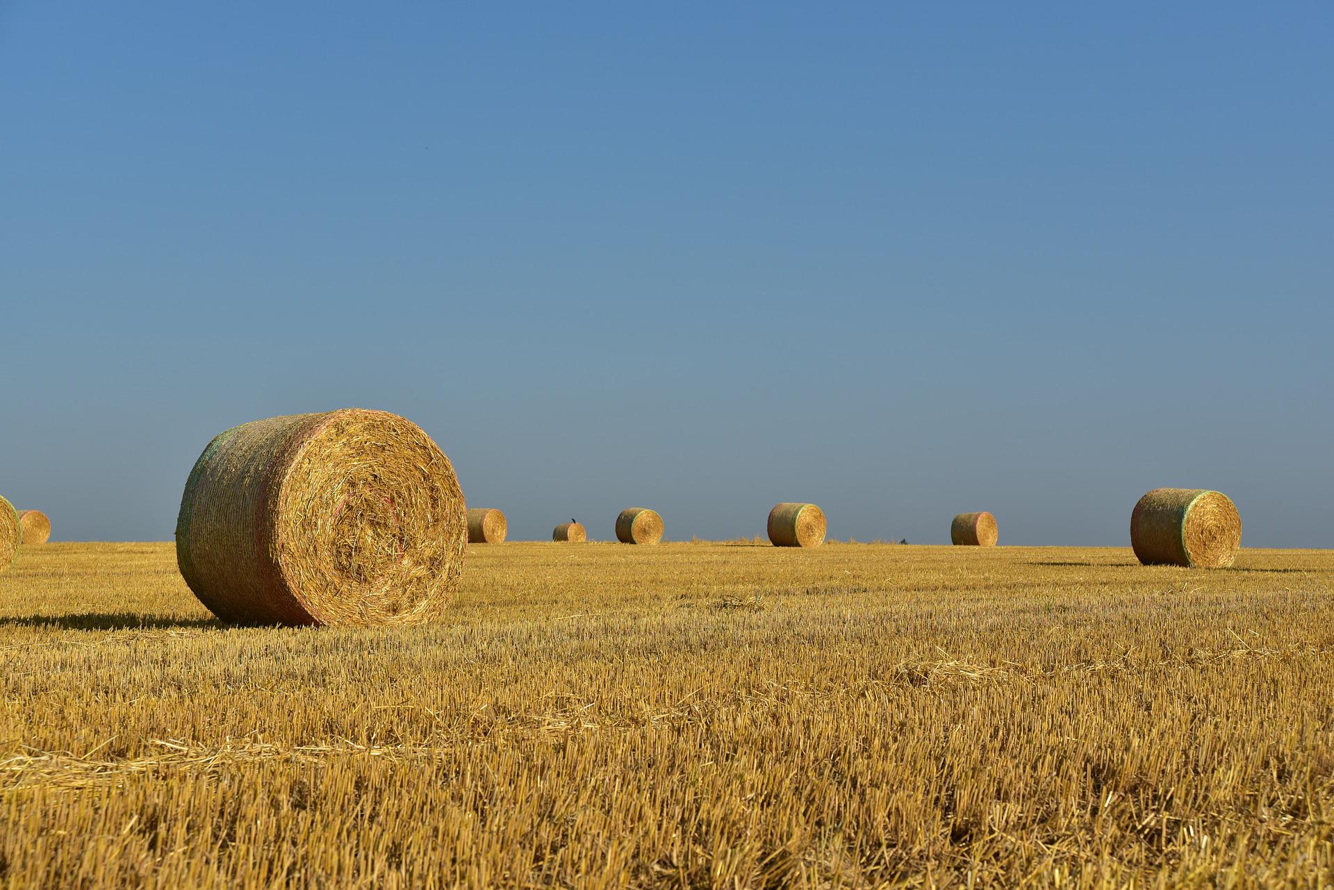 hay bale
