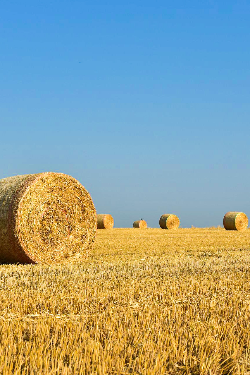 hay bale